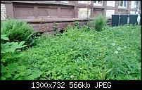 Nokia Lumia 920 - Fotoqualität-lumia-ooc.jpg