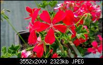 Nokia Lumia 920 - Fotoqualität-wp_20130607_024-1-.jpg