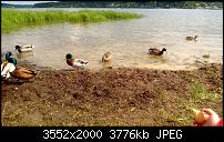 Nokia Lumia 920 - Fotoqualität-wp_20130614_018.jpg