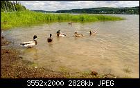 Nokia Lumia 920 - Fotoqualität-wp_20130614_020.jpg