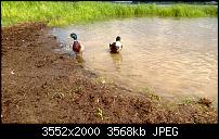 Nokia Lumia 920 - Fotoqualität-wp_20130614_021.jpg