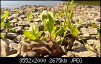 Nokia Lumia 920 - Fotoqualität-2013_06_06_09_15_27_proshot.jpg