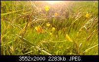 Nokia Lumia 920 - Fotoqualität-2013_06_14_20_39_57_proshot.jpg