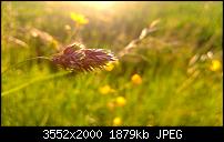 Nokia Lumia 920 - Fotoqualität-2013_06_14_20_40_22_proshot.jpg