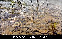 Nokia Lumia 920 - Fotoqualität-wp_20130614_001.jpg