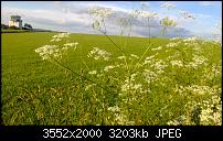 Nokia Lumia 920 - Fotoqualität-wp_20130614_009.jpg