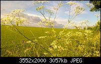 Nokia Lumia 920 - Fotoqualität-wp_20130614_011.jpg