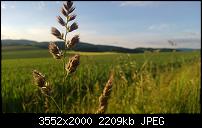 Nokia Lumia 920 - Fotoqualität-wp_20130614_019.jpg