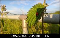 Nokia Lumia 920 - Fotoqualität-wp_20130614_021.jpg