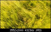 Nokia Lumia 920 - Fotoqualität-wp_20130614_025.jpg