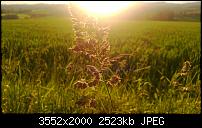 Nokia Lumia 920 - Fotoqualität-wp_20130614_027.jpg