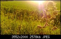 Nokia Lumia 920 - Fotoqualität-wp_20130614_030.jpg