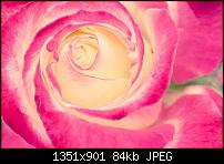 Nokia Lumia 920 - Fotoqualität-965190_521128521287562_1275160905_o.jpg