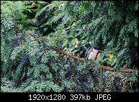 Nokia Lumia 920 - Fotoqualität-966262_521128577954223_2052818603_o.jpg