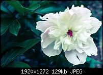 Nokia Lumia 920 - Fotoqualität-977859_521128524620895_964197566_o.jpg