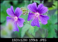 Nokia Lumia 920 - Fotoqualität-1008313_521128671287547_601812038_o.jpg