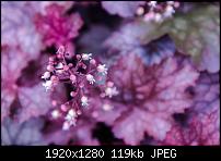 Nokia Lumia 920 - Fotoqualität-1008440_521128697954211_1627026668_o.jpg