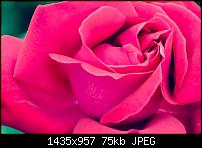 Nokia Lumia 920 - Fotoqualität-1015108_521128517954229_22710587_o.jpg