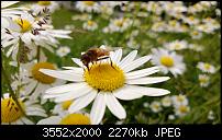 Nokia Lumia 920 - Fotoqualität-wp_20130615_022.jpg