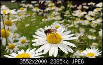 Nokia Lumia 920 - Fotoqualität-wp_20130615_021.jpg