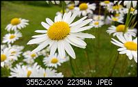 Nokia Lumia 920 - Fotoqualität-wp_20130615_013.jpg