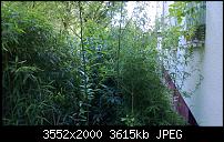 Nokia Lumia 920 - Fotoqualität-wp_20130709_013.jpg