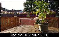 Nokia Lumia 920 - Fotoqualität-wp_20130725_023.jpg