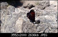 Nokia Lumia 920 - Fotoqualität-wp_20130816_067.jpg