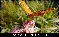 Nokia Lumia 920 - Fotoqualität-wp_20130816_134.jpg