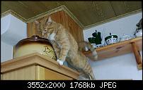 Nokia Lumia 920 - Fotoqualität-wp_20130328_006.jpg