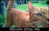 Nokia Lumia 920 - Fotoqualität-wp_20130818_16_43_14_pro.jpg