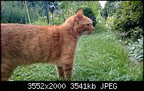 Nokia Lumia 920 - Fotoqualität-wp_20130818_16_38_44_pro.jpg