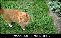 Nokia Lumia 920 - Fotoqualität-wp_20130818_16_38_32_pro.jpg