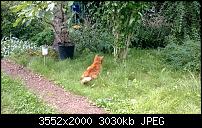 Nokia Lumia 920 - Fotoqualität-wp_20130818_16_37_51_pro.jpg