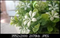 Nokia Lumia 920 - Fotoqualität-wp_20130818_19_03_43_pro.jpg