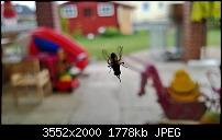 Nokia Lumia 920 - Fotoqualität-wp_20130827_12_13_42_pro.jpg