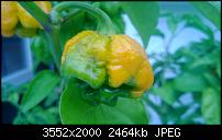 Nokia Lumia 920 - Fotoqualität-wp_20130827_010-1-.jpg