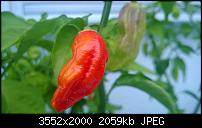 Nokia Lumia 920 - Fotoqualität-wp_20130827_011-1-.jpg