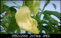 Nokia Lumia 920 - Fotoqualität-wp_20130827_013-1-.jpg