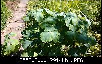 Nokia Lumia 920 - Fotoqualität-wp_20130905_13_49_39_pro.jpg