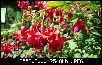 Nokia Lumia 920 - Fotoqualität-wp_20130905_13_51_26_pro.jpg