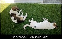 Nokia Lumia 920 - Fotoqualität-wp_20130902_17_37_33_pro.jpg