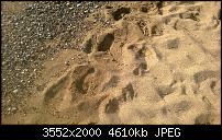 Nokia Lumia 920 - Fotoqualität-wp_20130903_17_46_50_pro.jpg