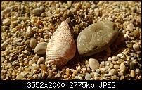 Nokia Lumia 920 - Fotoqualität-wp_20130904_17_18_45_pro.jpg