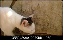 Nokia Lumia 920 - Fotoqualität-wp_20130905_10_00_07_pro.jpg