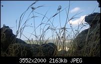 Nokia Lumia 920 - Fotoqualität-wp_20130905_10_14_23_pro.jpg