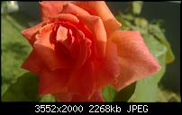 Nokia Lumia 920 - Fotoqualität-wp_20130906_09_55_10_pro.jpg