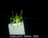 Nokia Lumia 920 - Fotoqualität-new-image_635144515595486770.jpg