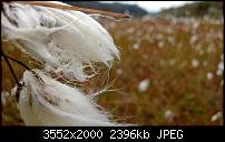 Nokia Lumia 920 - Fotoqualität-wp_20130910_13_12_06_pro.jpg