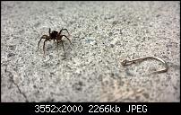 Nokia Lumia 920 - Fotoqualität-wp_20130905_17_43_43_pro.jpg